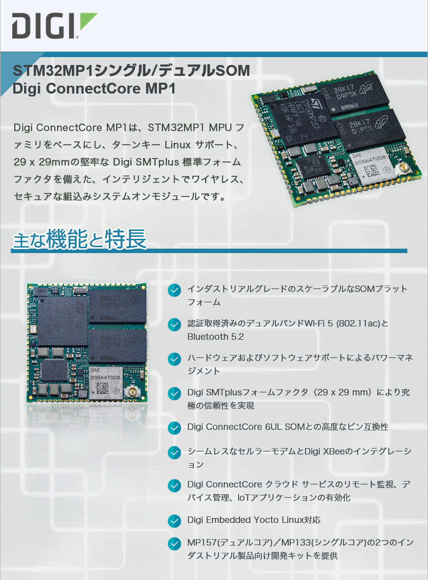 ディジ　インターナショナル