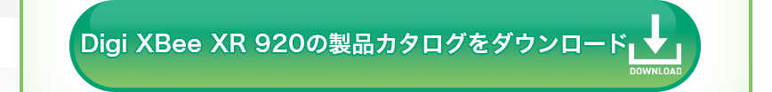 ディジ　インターナショナル