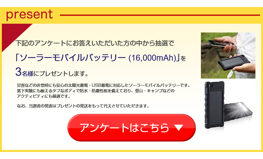 ディジ　インターナショナル