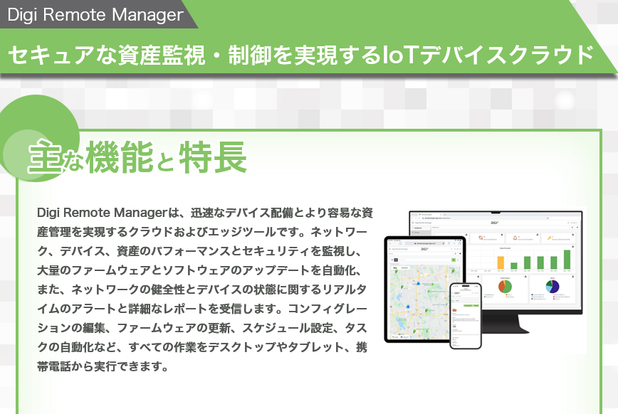 ディジ　インターナショナル