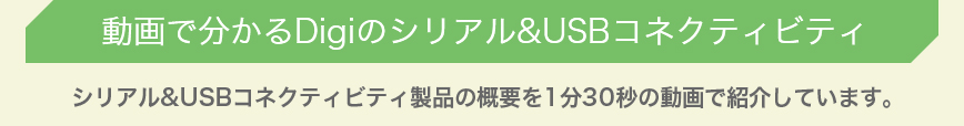 ディジ　インターナショナル