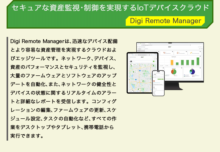 ディジ　インターナショナル