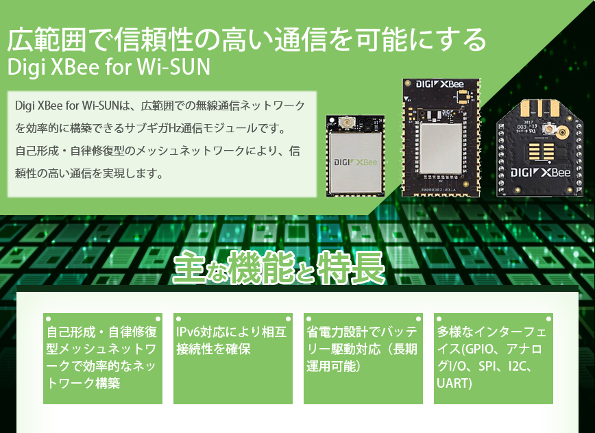 ディジ　インターナショナル