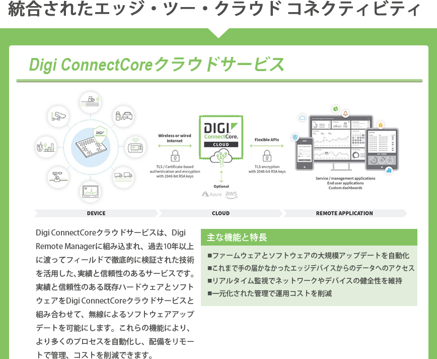 ディジ　インターナショナル