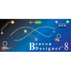 プローブ／プライマー設計ツール Beacon Designer(PREMIER Biosoft社)