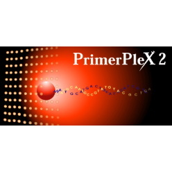 プライマー設計ツール PrimerPlex(PREMIER Biosoft社)