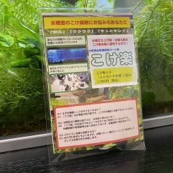 コケ防止コーティング剤 こけ楽 合同会社マイカイ 製品ナビ
