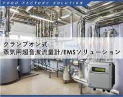 蒸気用超音波流量計／EMSソリューション