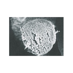 繊維状高機能新素材 セルガイア