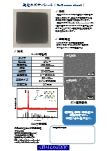硫化スズナノシート(SnS nanosheet)