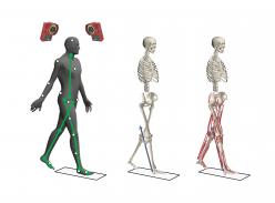 身体動作解析ソフトウェア JoDyn／筋骨格モデル Muskejo