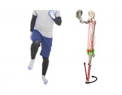 身体動作解析ソフトウェア JoDyn・筋骨格モデル／Muskejo