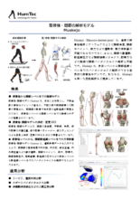 【受託解析】筋骨格・関節の解析モデル「Muskejo」
