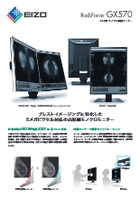 21.3型医用画像表示モノクロモニタ RadiForce GX570