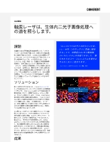 お客様事例 軸索レーザは、生体内二光子画像処理への道を照らします。