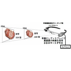 ロボット手術(daVinci)補助者用3D スマートグラスシステム