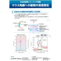 生体内薬剤イメージング装置(コヒーレント顕微鏡システム)