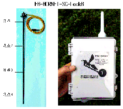 ロックボルト軸力ウェブ観測 FB-HORNET-SG-LockB