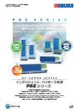 インテリジェント・バイポーラ電源(CVCC) PBZシリーズ