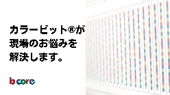 課題解決オーバーメイド型ソリューション カラービット・ソリューション