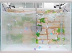 親水処理剤 ナノリフレクト親水 HP-B02