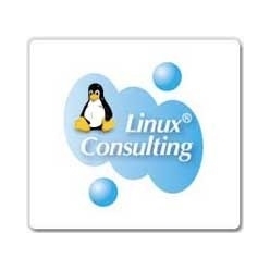 組込みLinuxコンサルティングサービス