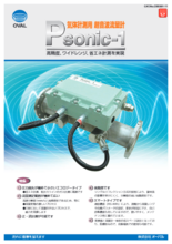 超音波流量計 Psonic-1 カタログ