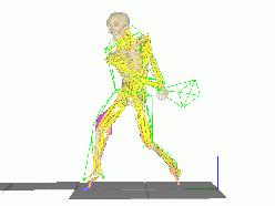 筋骨格モデル動作解析ソフトウェア nMotion musculous