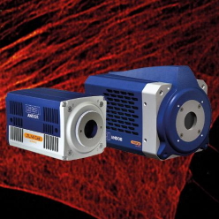 高速高感度科学研究用sCMOSカメラ ZL41 Cell／Sona-6 Extreme