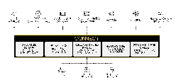 産業向けデータ管理/分析 統合プラットフォーム AVEVA CONNECT