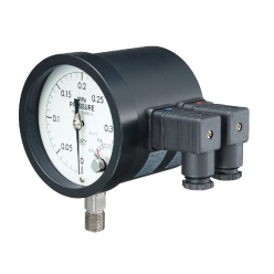 マイクロスイッチ付き圧力計(2接点) A2EM100ME