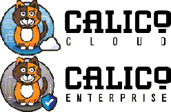 Calicoオープンソース(Kubernetes CNI)機能アップグレード版 Calico Cloud／Enterprise