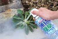 除草剤 ケイタイエアコン 凍結除草ジェットα