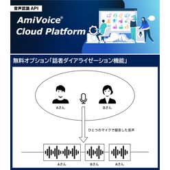 音声認識API オプション機能