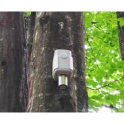 事例紹介_LoRaWANによる森林火災に対するスマートソリューション