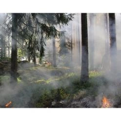 事例紹介_LoRaWANによる森林火災に対するスマートソリューション