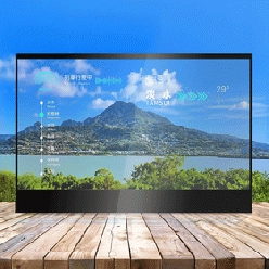 55インチ 有機EL(OLED)透明タッチディスプレイ LITEMAX TPD5500-L