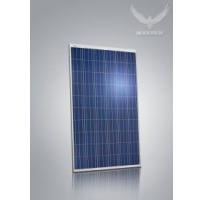 PIDフリー太陽電池モジュール Eagleシリーズ