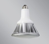 LEDランプ PAR38 17W LED LAMP