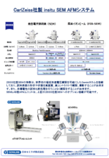 CarlZeiss製 SEM-AFMシステム